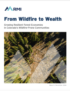 From Wildfire to Wealth: Growing Resilient Forest Economies in Colorado’s Wildfire-Prone Communities